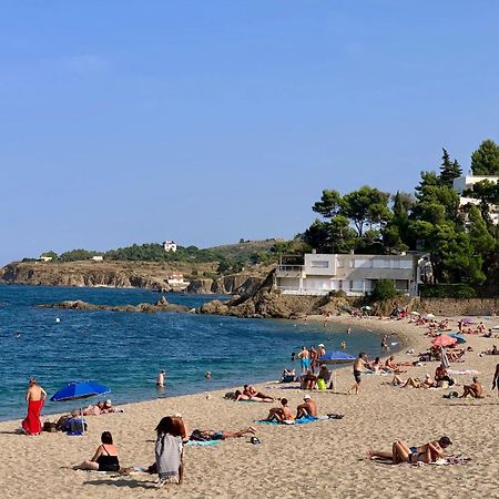 Studio Moderne Argeles Sur Mer.La Plage A Pieds, Espagne A 30Mn Экстерьер фото