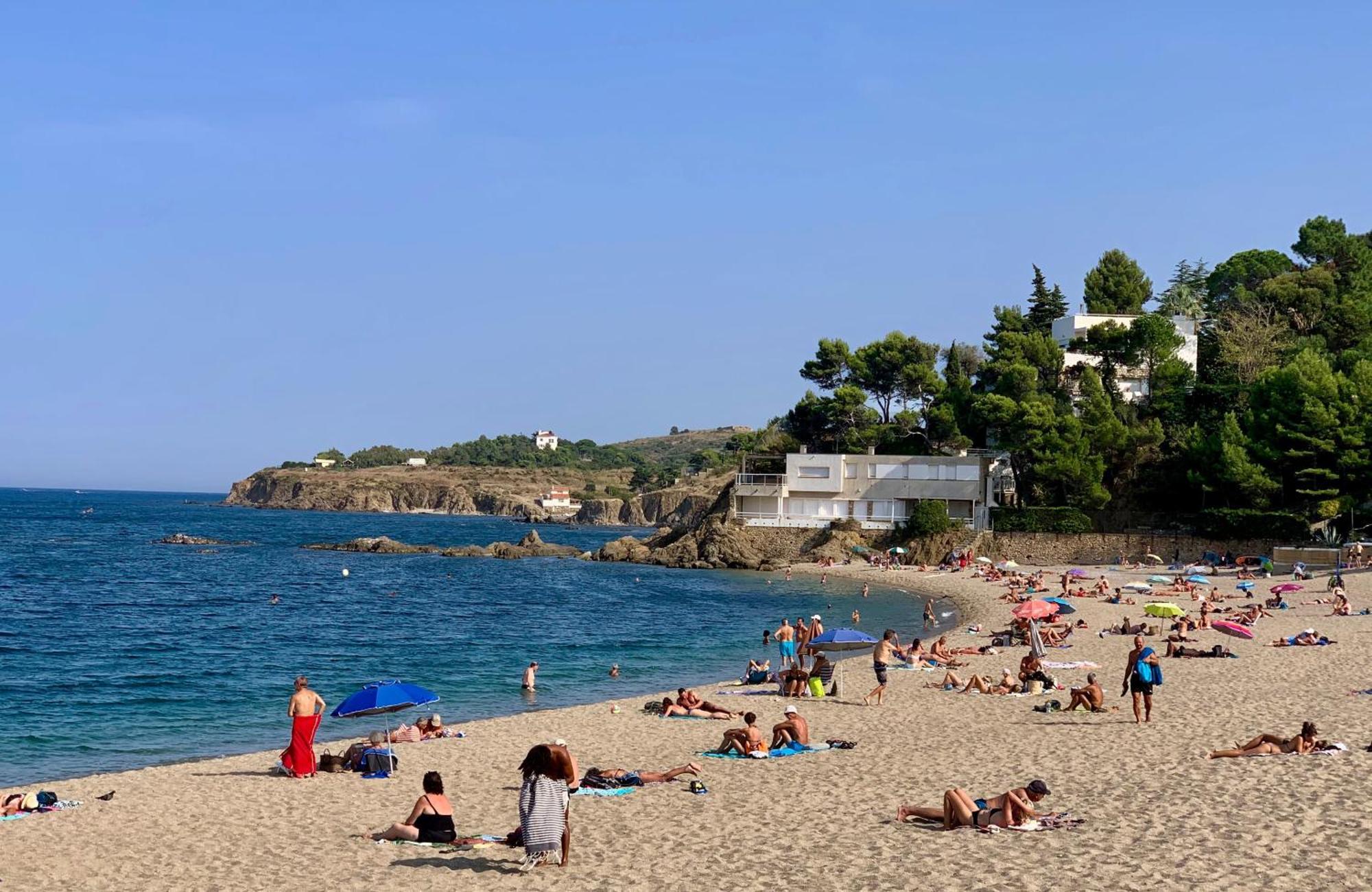 Studio Moderne Argeles Sur Mer.La Plage A Pieds, Espagne A 30Mn Экстерьер фото